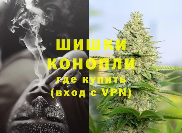 герыч Болотное