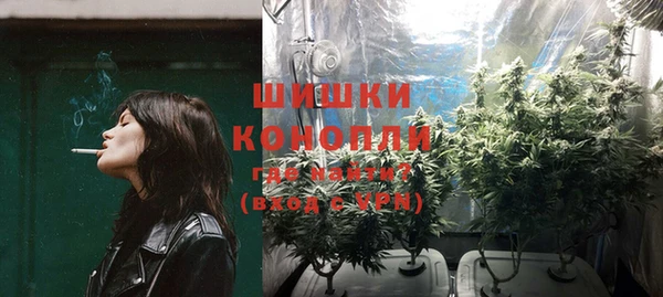 хмурый Богородск