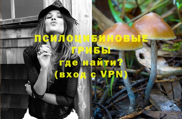 хмурый Богородск